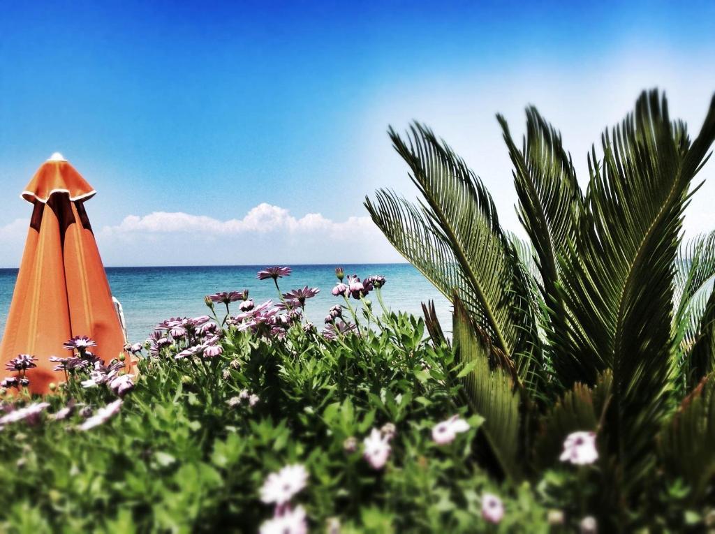 Al Mare Hotel Tsilivi  Luaran gambar