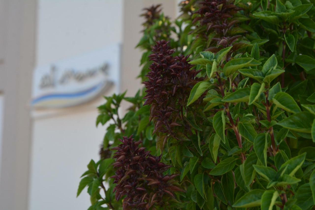 Al Mare Hotel Tsilivi  Luaran gambar